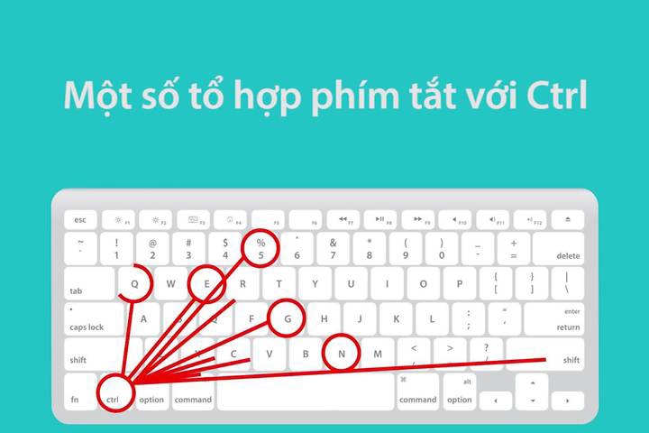 cac phim va to hop phim windows