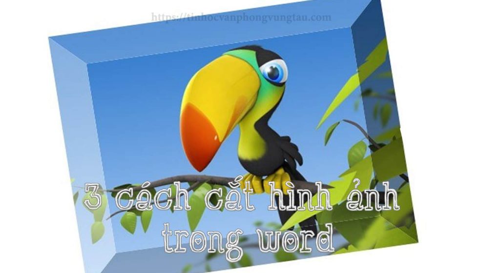 3 cách cắt hình ảnh trong wor