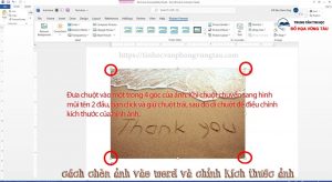Cách chèn ảnh vào word và chỉnh kích thước ảnh