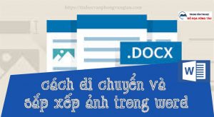 Cách di chuyển và sắp xếp ảnh trong word