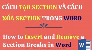 Cách xoá section trong word