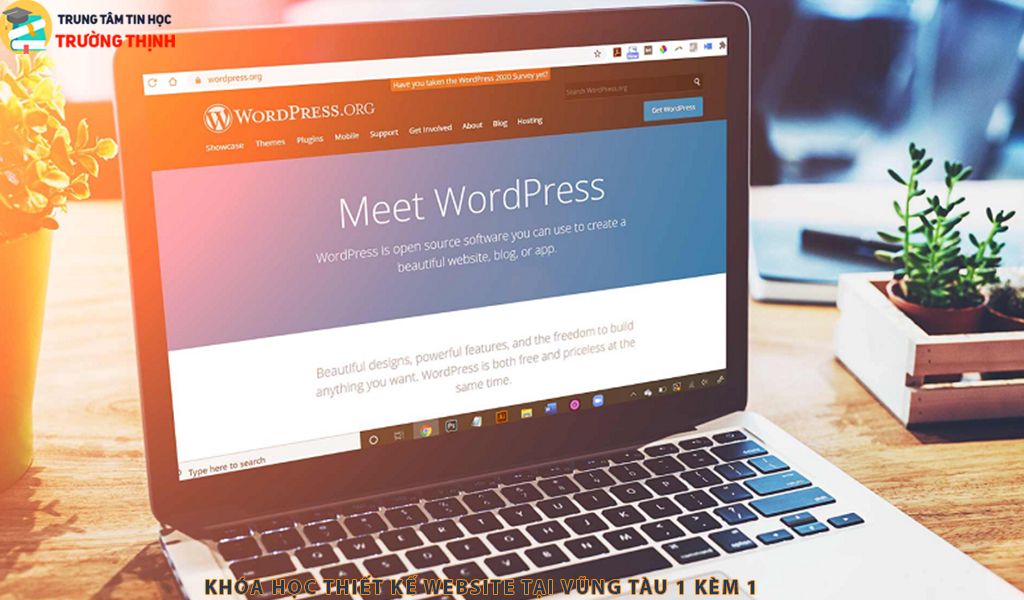 Học thiết kế web tại vũng tàu 1 kèm 1